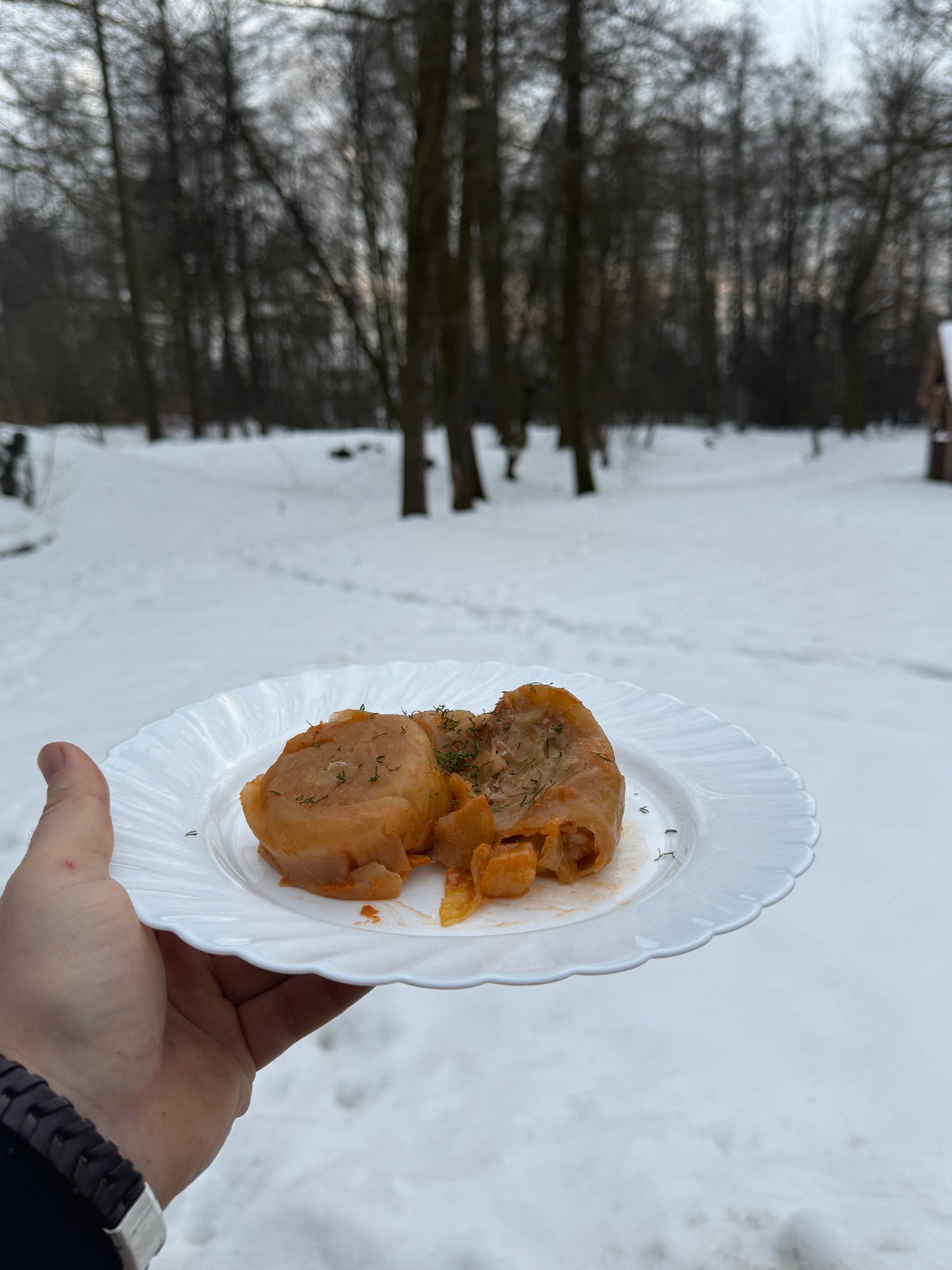 Gołąbki w słoiku w sosie pomidorowym, domowe, gotowy obiad